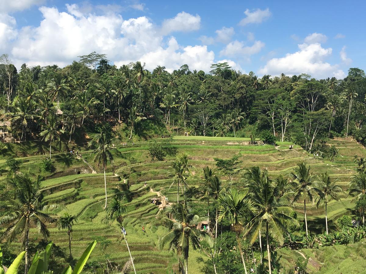 Villa Maha Ubud  Bagian luar foto